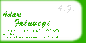 adam faluvegi business card